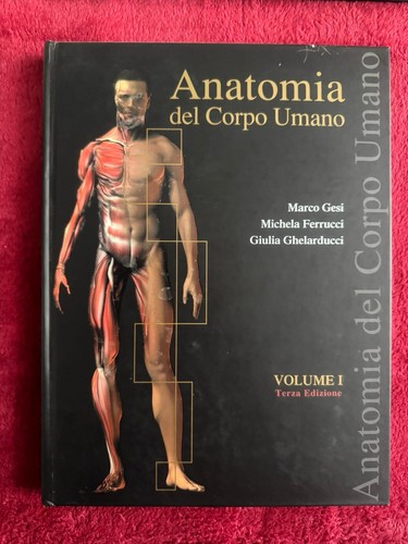 Libri volume 2 anatomia - volume,