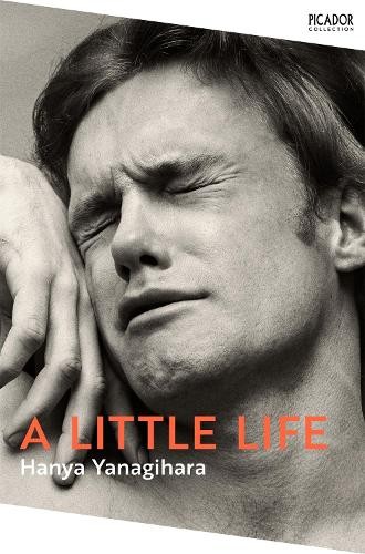 Little life picador - a, (picador