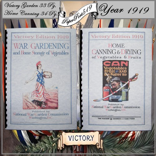 1919 victory edition war - 1919,